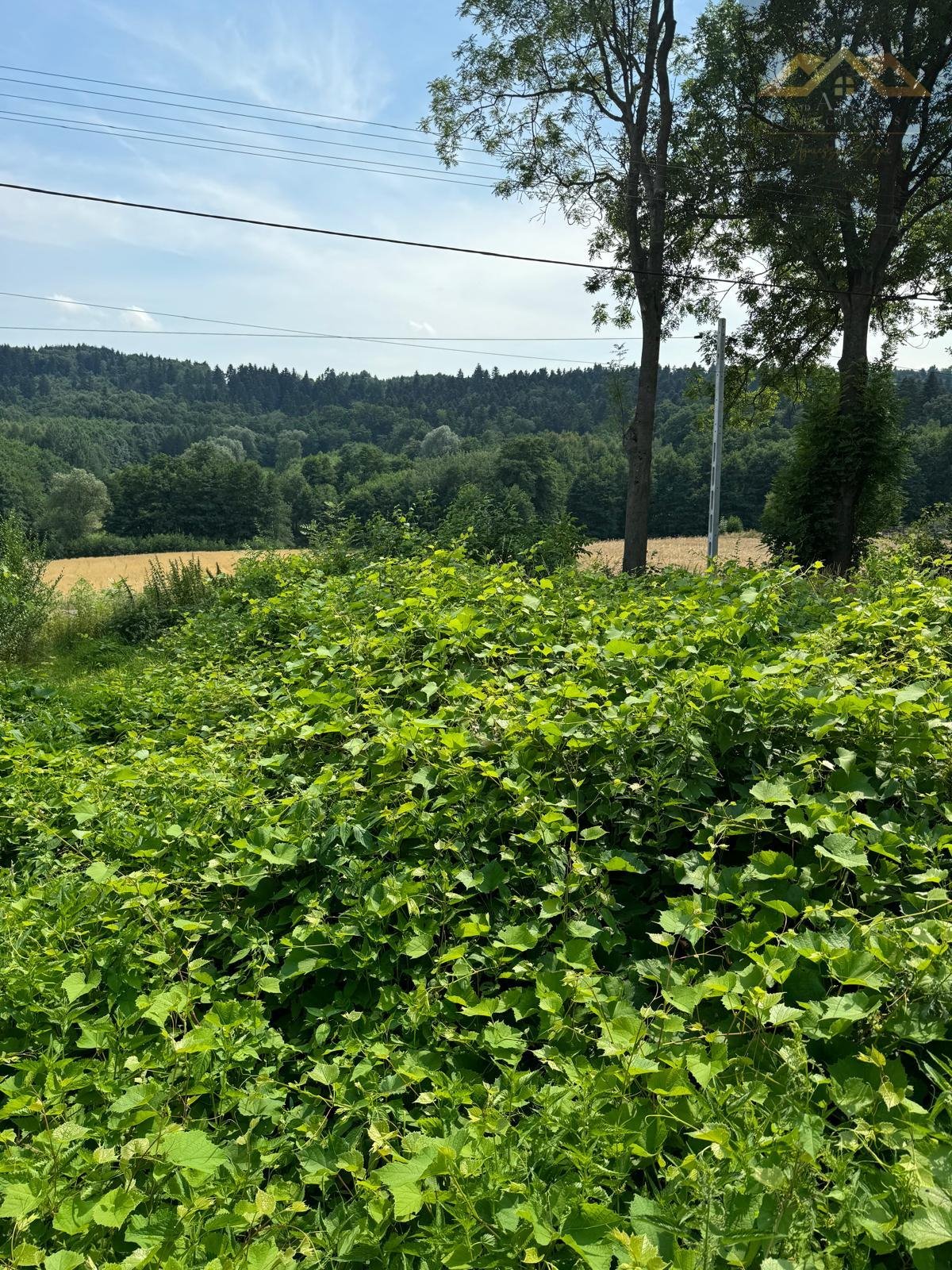 Działka budowlana na sprzedaż Zwiernik  1 500m2 Foto 4