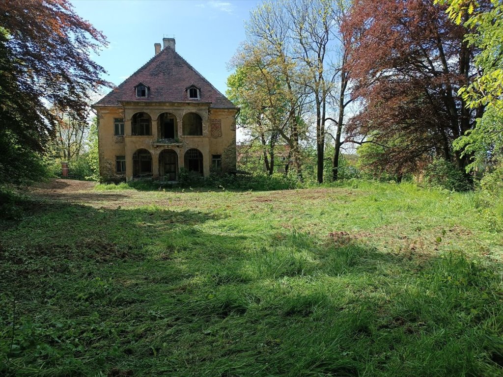 Lokal użytkowy na sprzedaż Kostrzyna  825m2 Foto 4