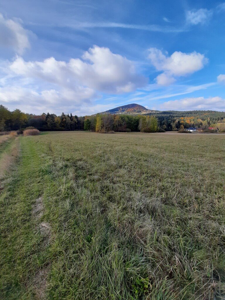 Działka budowlana na sprzedaż Ptaszkowa  1 100m2 Foto 2