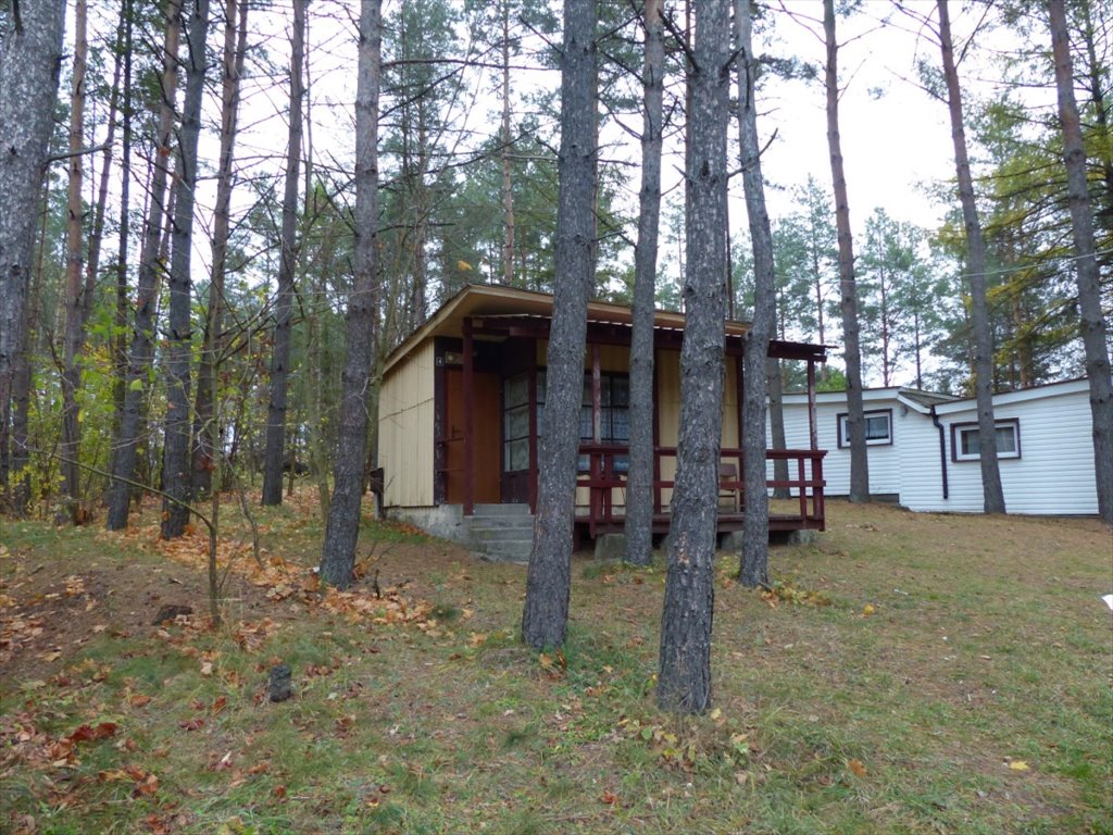 Lokal użytkowy na sprzedaż Biskupiec, Biskupiec, Wilimy  19 300m2 Foto 7