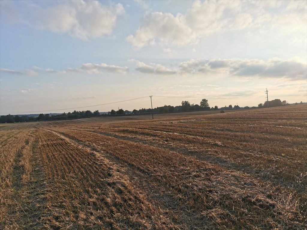 Działka inna na sprzedaż Jastrowie, Jastrowie  71 618m2 Foto 15