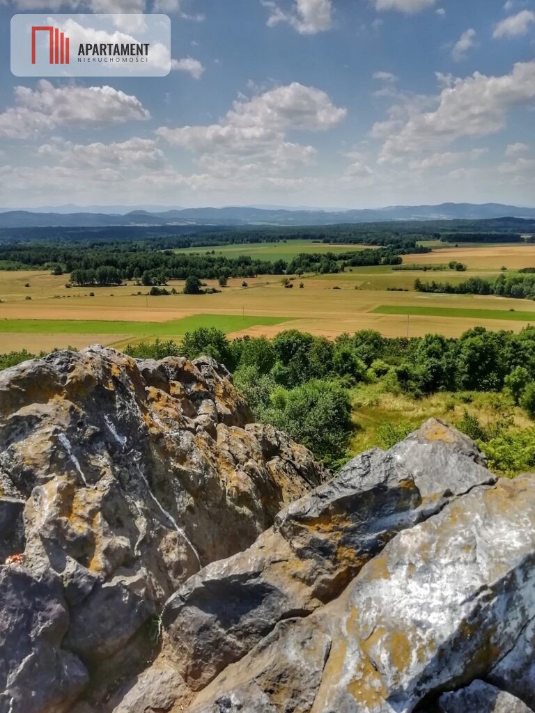 Działka gospodarstwo rolne na sprzedaż Pomocne  30 000m2 Foto 8