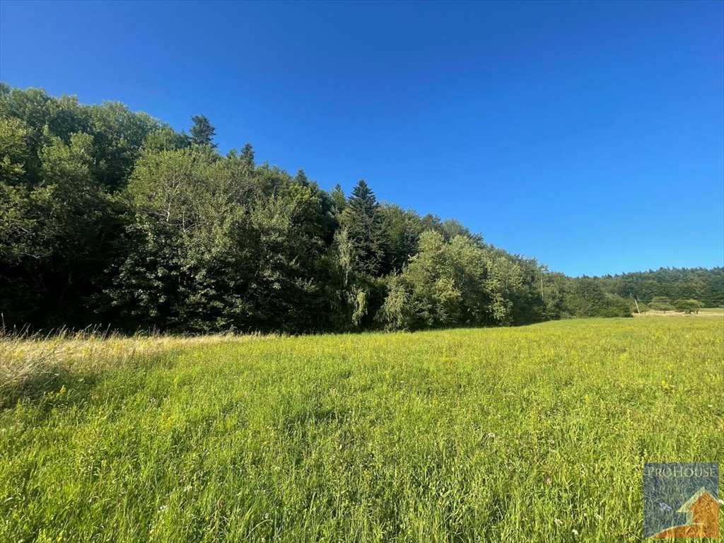 Działka budowlana na sprzedaż Kłodne  5 200m2 Foto 12