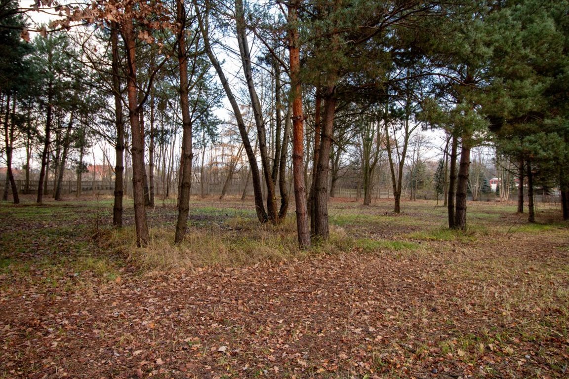 Działka budowlana na sprzedaż Koszęcin, Słowików  879m2 Foto 9