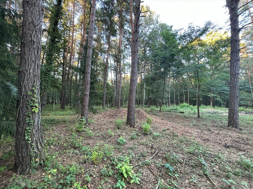 Działka budowlana na sprzedaż Prace Duże  1 800m2 Foto 2