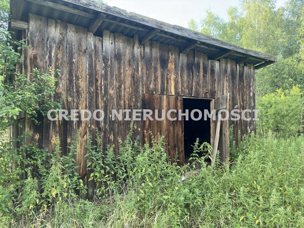 Działka rolna na sprzedaż Jedwabno  3 000m2 Foto 12