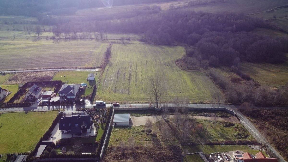 Działka budowlana na sprzedaż Dziwiszów  1 500m2 Foto 5