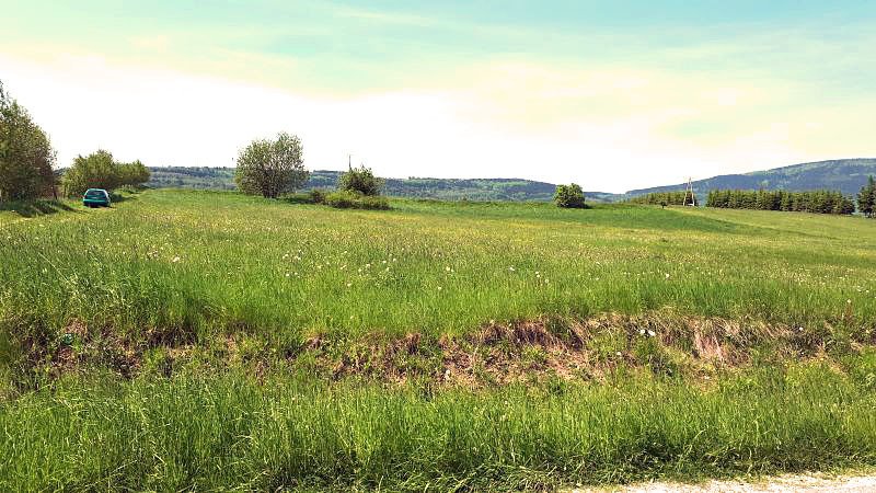 Działka budowlana na sprzedaż Długopole Górne  3 300m2 Foto 4