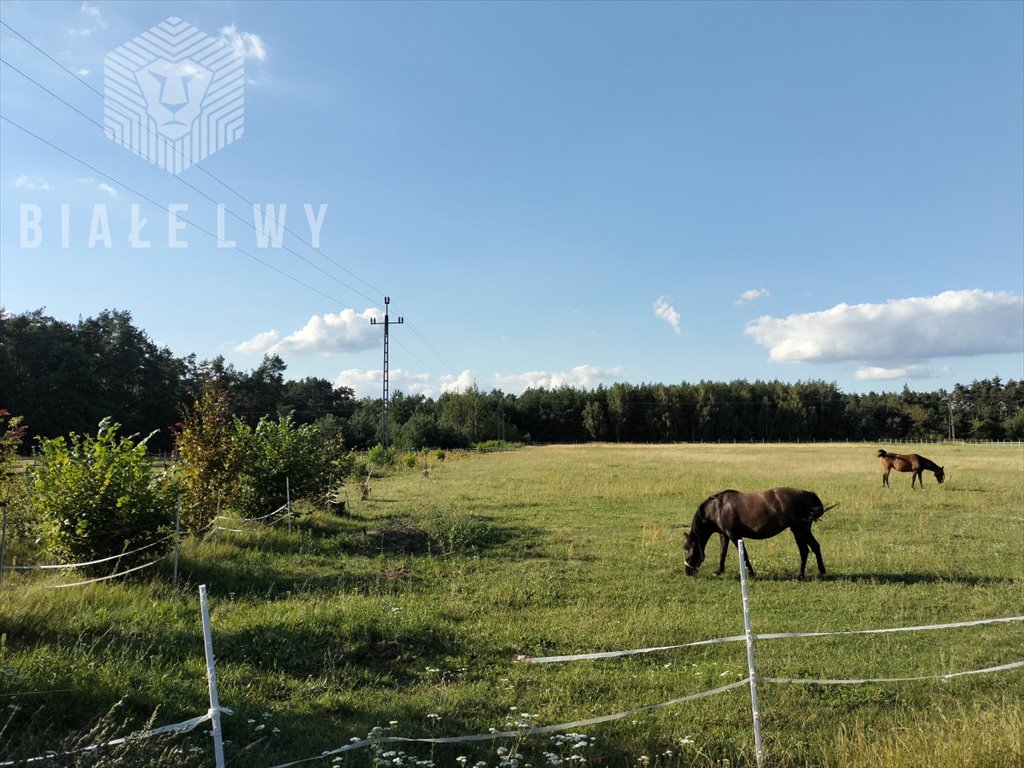 Działka budowlana na sprzedaż Jagodne  3 313m2 Foto 1