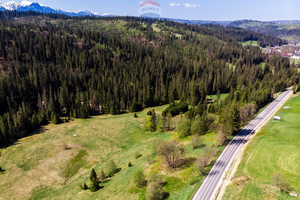 Działka rolna na sprzedaż Bukowina Tatrzańska  2 944m2 Foto 8