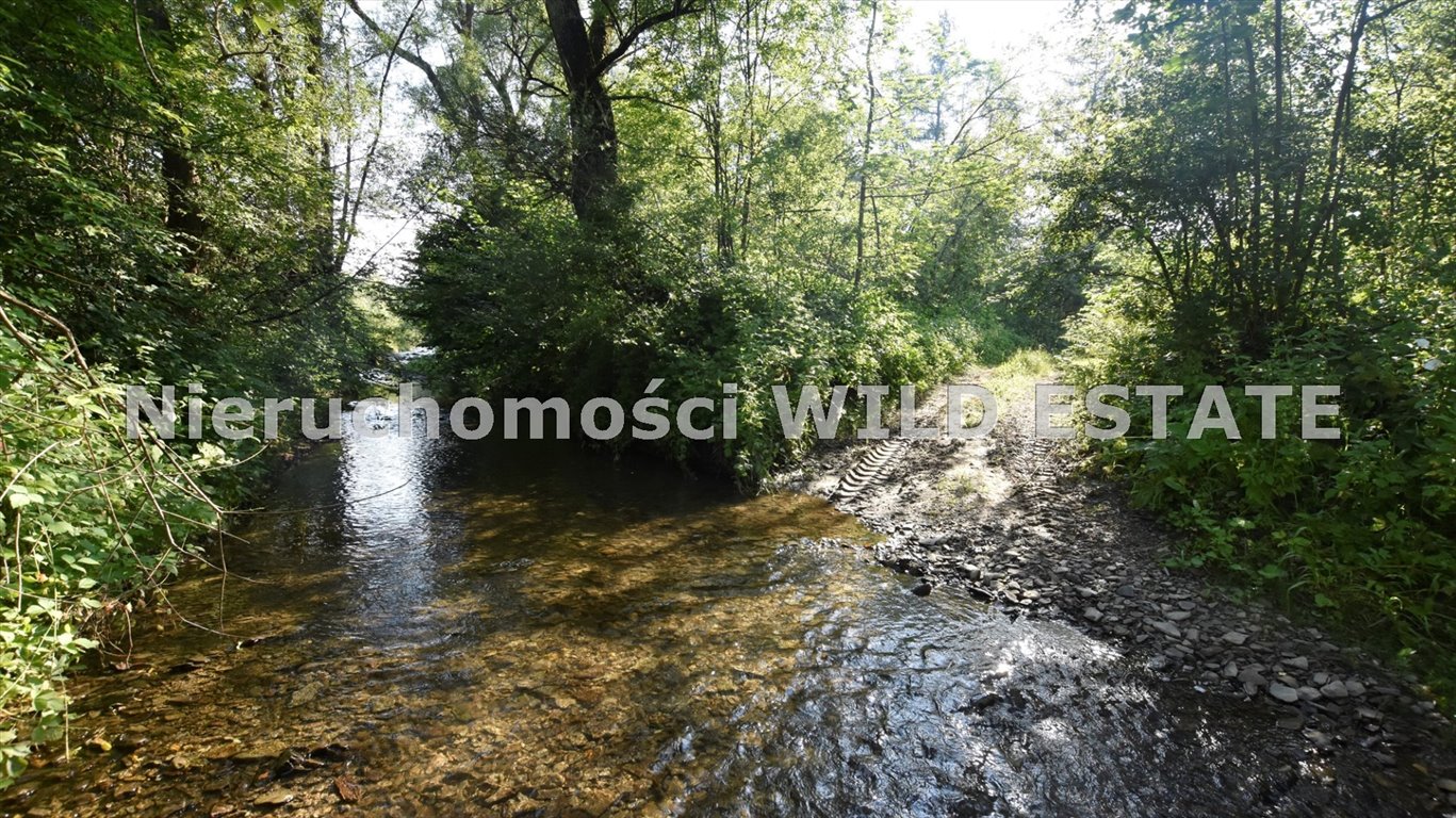 Działka rolna z dostępem do rzeki w Olszanicy, 3 110 m² Olszanica, Olszanica  3 110m2 Foto 1