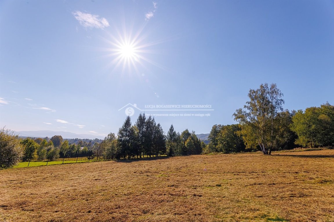 Działka budowlana na sprzedaż Bystra Krakowska  8 228m2 Foto 5