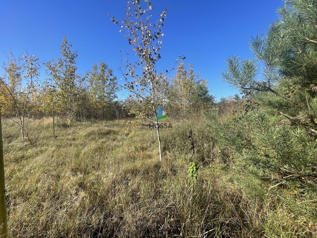 Działka budowlana na sprzedaż Ruskowo  1 107m2 Foto 9