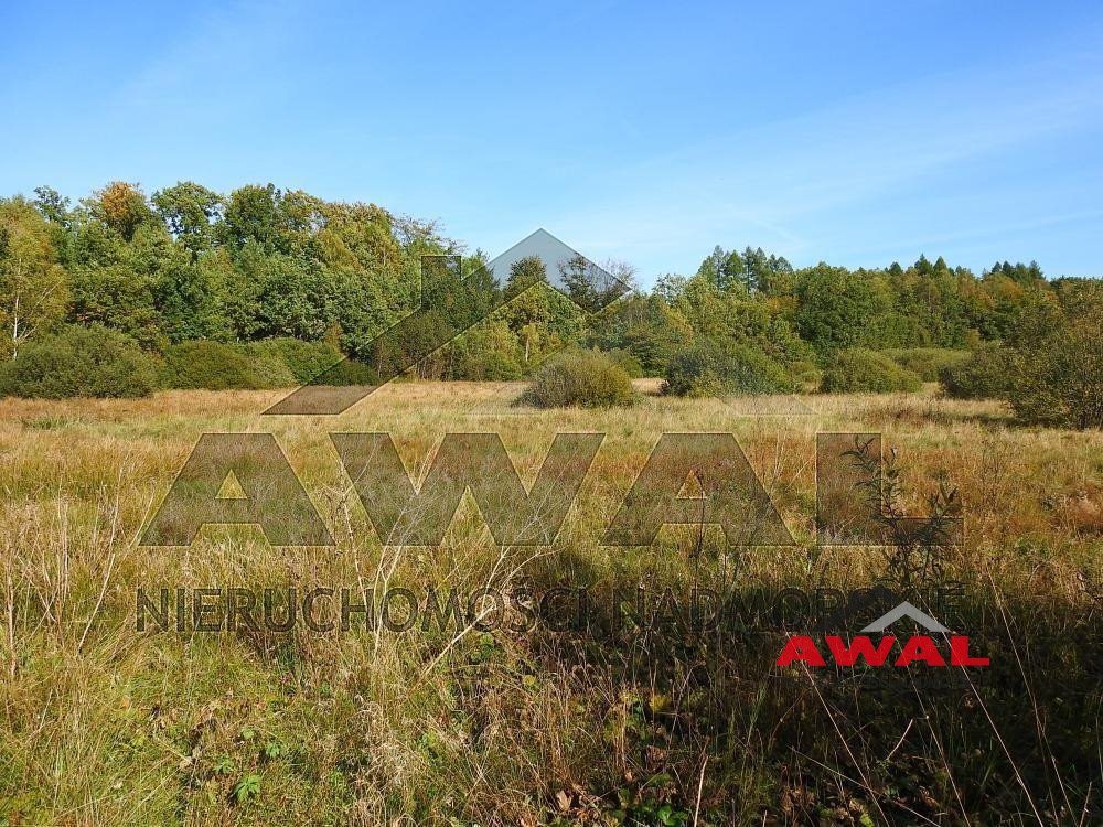 Działka gospodarstwo rolne na sprzedaż Leśniewo, Mechowska  25 200m2 Foto 9