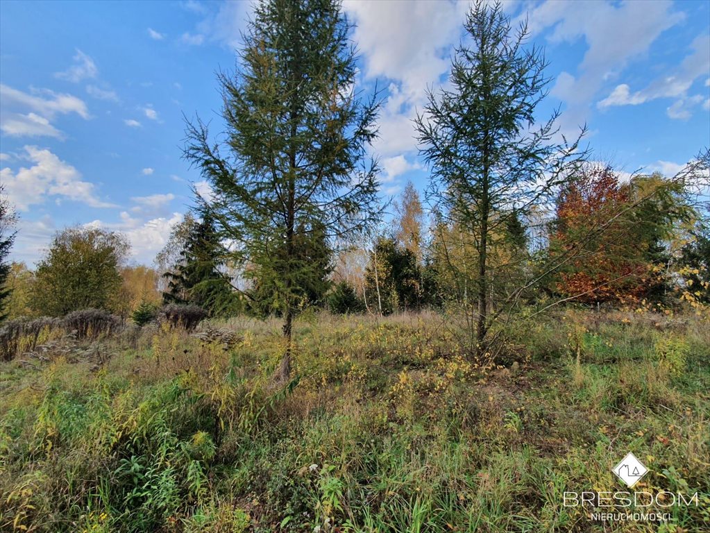 Działka budowlana na sprzedaż Spręcowo  4 969m2 Foto 15