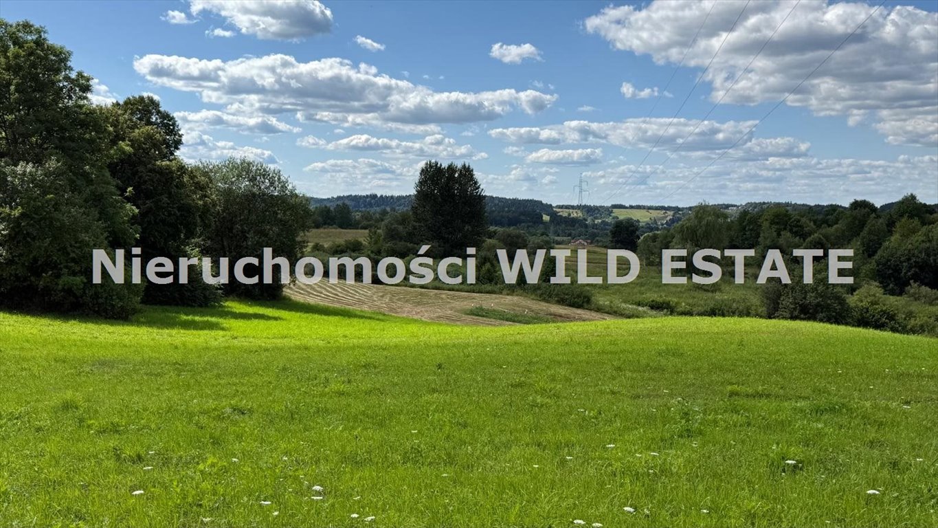 Zapraszam do obejrzenia działki rolnej 2900 m² z dostępem asfaltowym Lesko, Jankowce  2 900m2 Foto 1