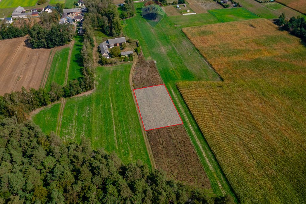 Działka budowlana na sprzedaż Wodzin Majoracki, Okupniki  1 200m2 Foto 1