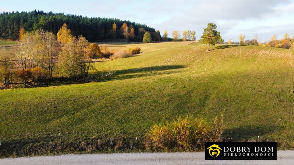 Działka rolna na sprzedaż Przerośl  43 316m2 Foto 10