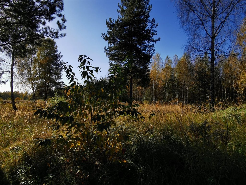 Działka budowlana na sprzedaż Częstochowa, Mirów, Hektarowa  1 089m2 Foto 11