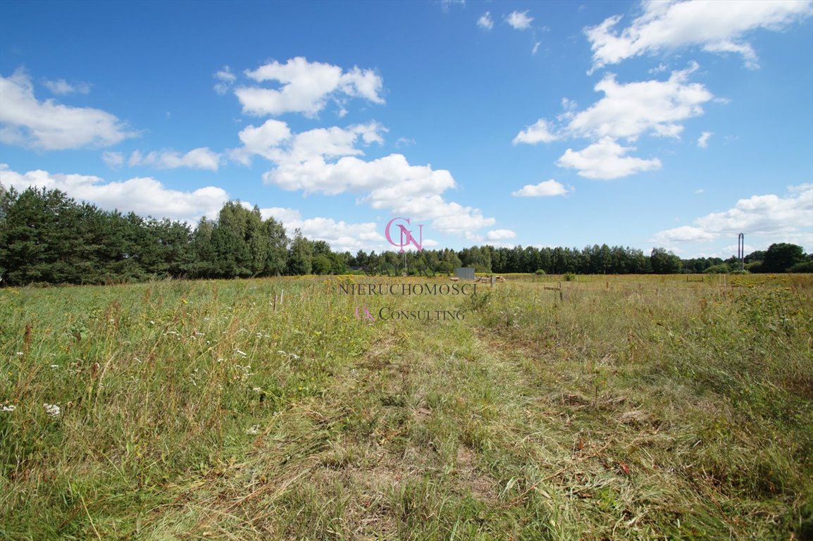 Działka inna na sprzedaż Grabowiec  1 865m2 Foto 3