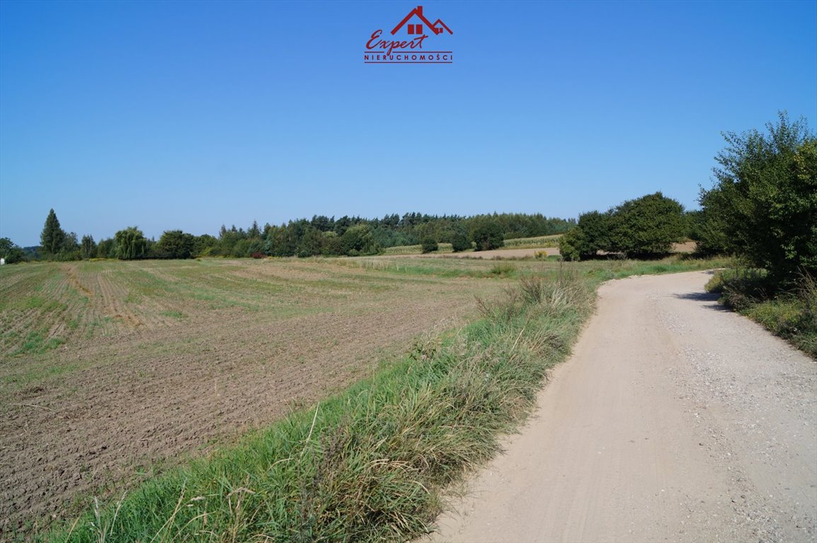 Działka inwestycyjna na sprzedaż Nowe Miasto Lubawskie, Nowe Miasto Lubawskie  17 453m2 Foto 6