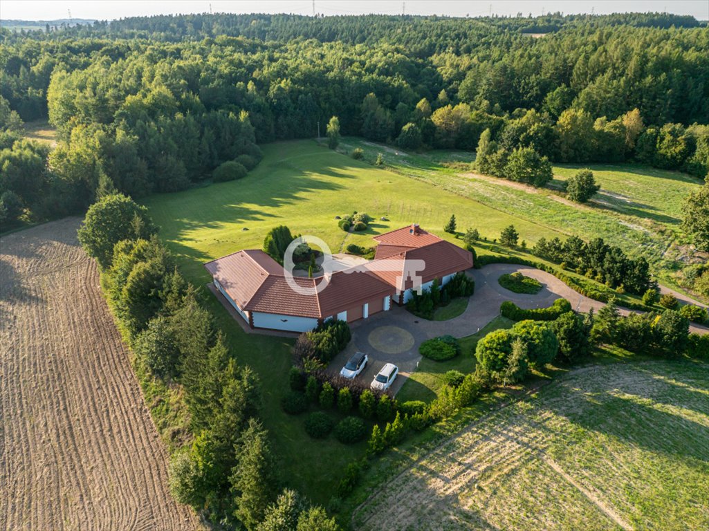 Działka rolna na sprzedaż Połęczyno  42 000m2 Foto 11