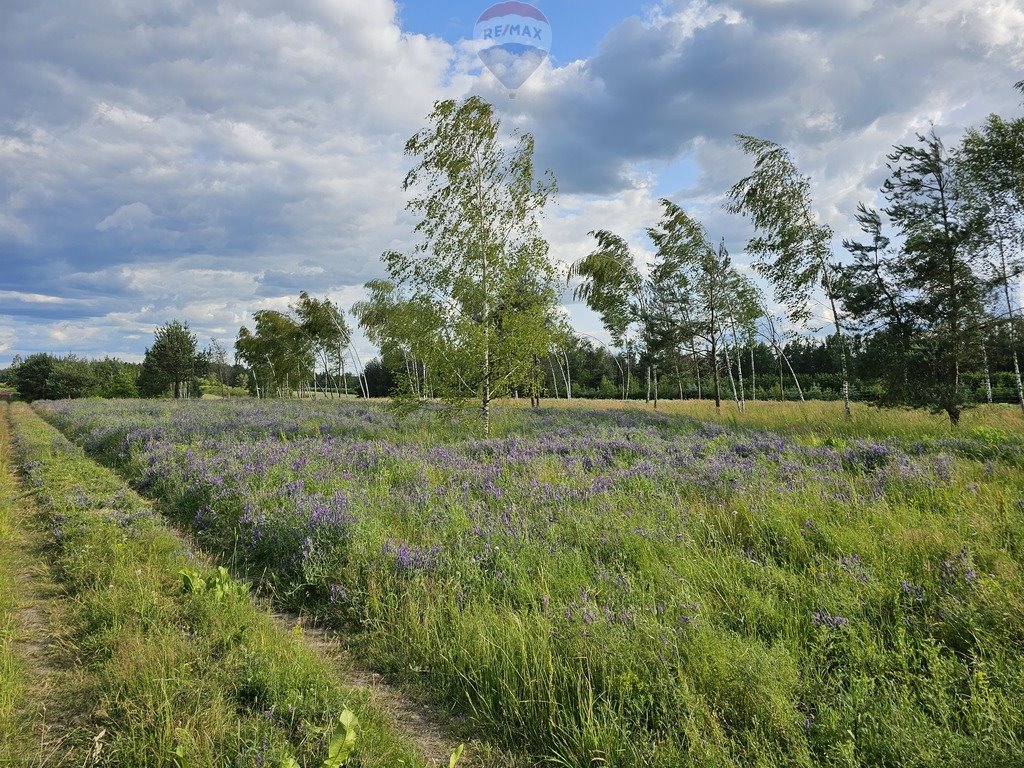 Działka budowlana na sprzedaż Józefów  1 528m2 Foto 1