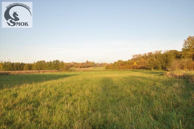 Działka budowlana na sprzedaż Giebułtów  3 000m2 Foto 1