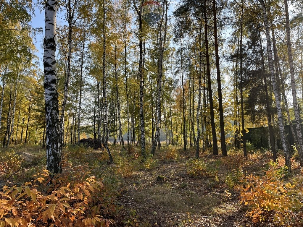 Mieszkanie trzypokojowe na sprzedaż Marki, Gliniecka  112m2 Foto 14