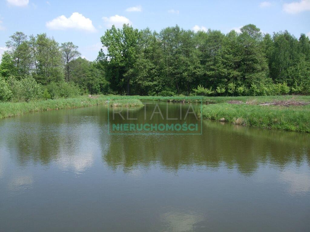 Działka siedliskowa na sprzedaż Pieńki Zarębskie  13 600m2 Foto 9