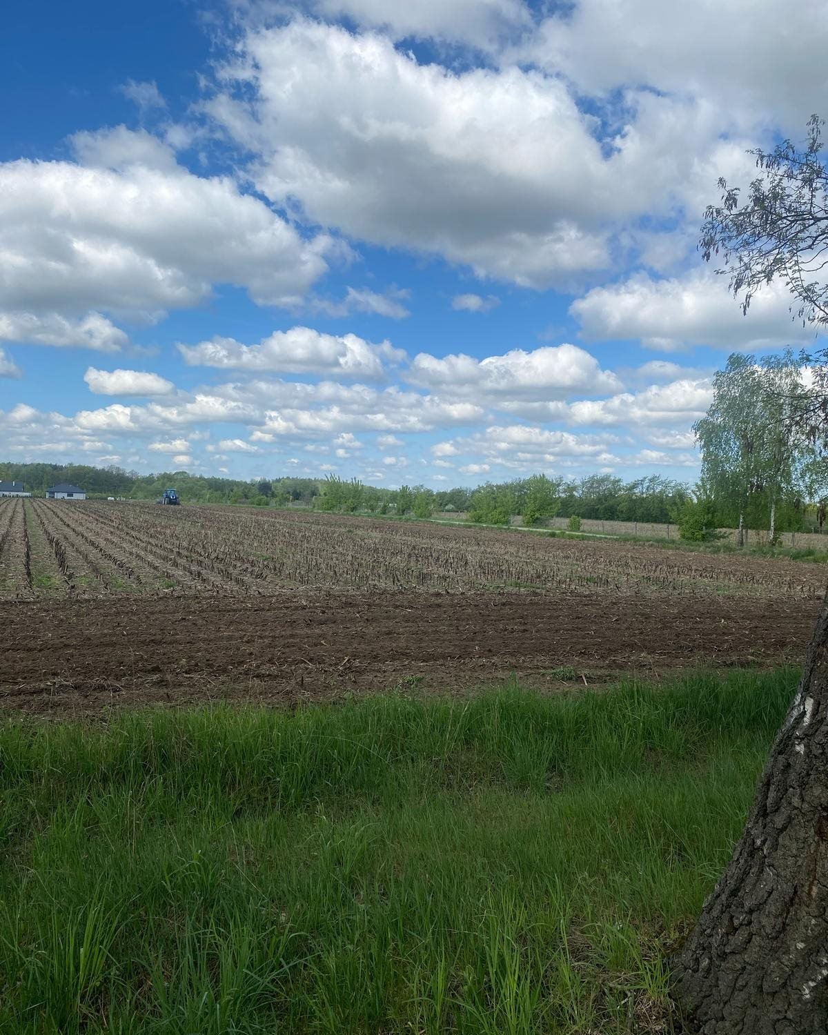 Działka budowlana na sprzedaż Skierniewice, Strobów  900m2 Foto 3 Działka budowlana na sprzedaż Skierniewice, Strobów  900m2 Foto 3