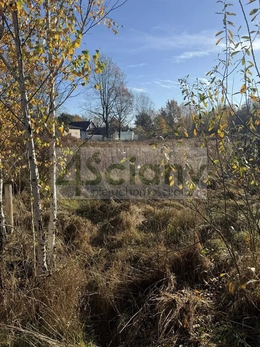 Działka 2068 m² z mediami MPZP Radonie - las, media, MPZP Radonie  2 068m2 Foto 1