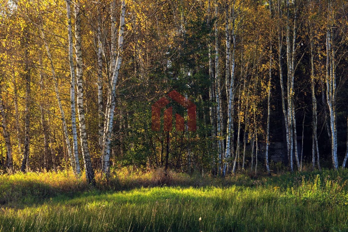 Działka leśna na sprzedaż Poręby Kupieńskie  13 700m2 Foto 5