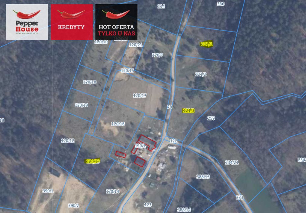 Działka gospodarstwo rolne na sprzedaż Bieszkowice, Piecewska  3 231m2 Foto 1