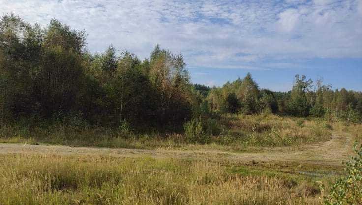 Działka inna na sprzedaż Szprotawa, Sieraków  68 701m2 Foto 17