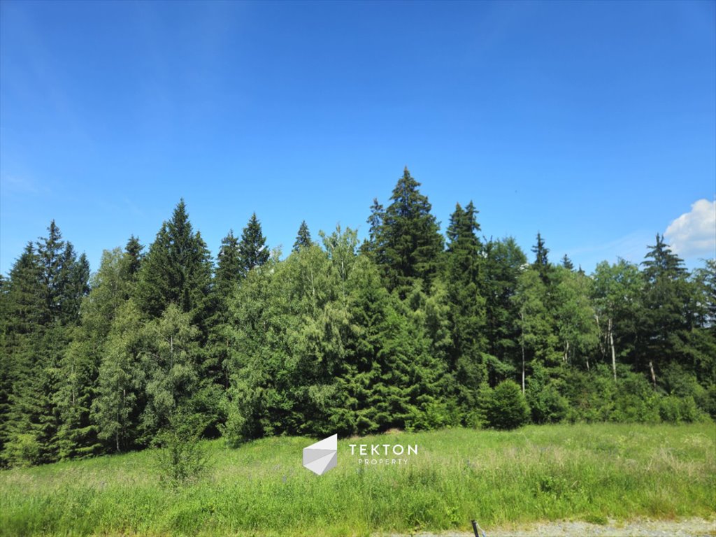 Do sprzedania działka 842 m² w Zieleńcu z widokiem na góry Duszniki-Zdrój, Zieleniec, Sudecka  842m2 Foto 1