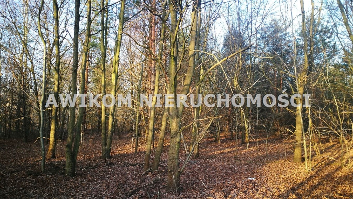 Działka 2000 m2 w Komorowie z planem zagospodarowania Komorów  2 000m2 Foto 1