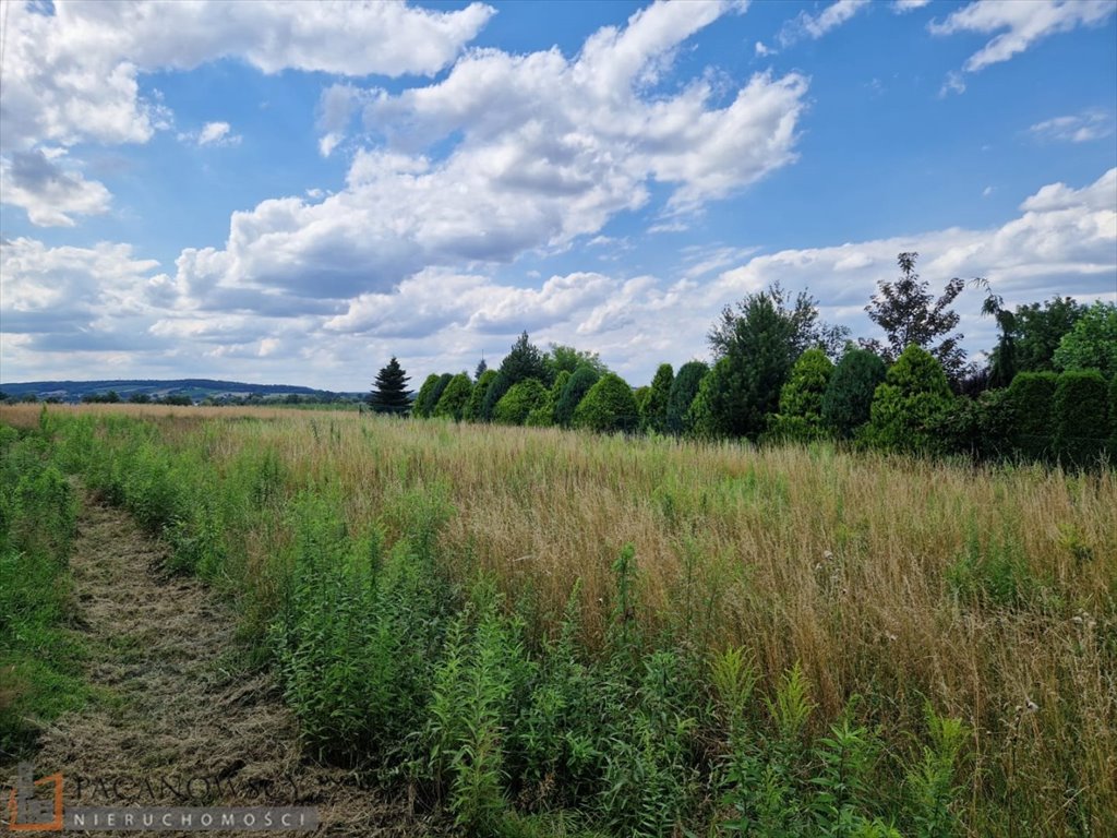 Działka budowlana na sprzedaż Wilków  1 500m2 Foto 1