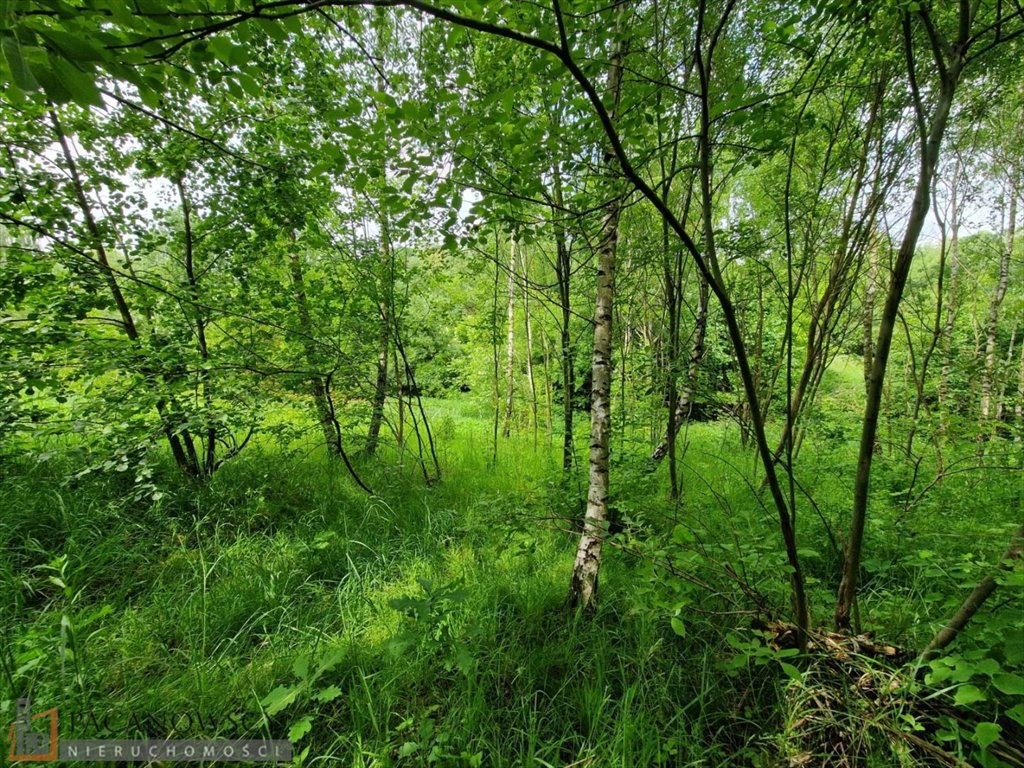 Działka budowlana na sprzedaż Owczary  1 335m2 Foto 4