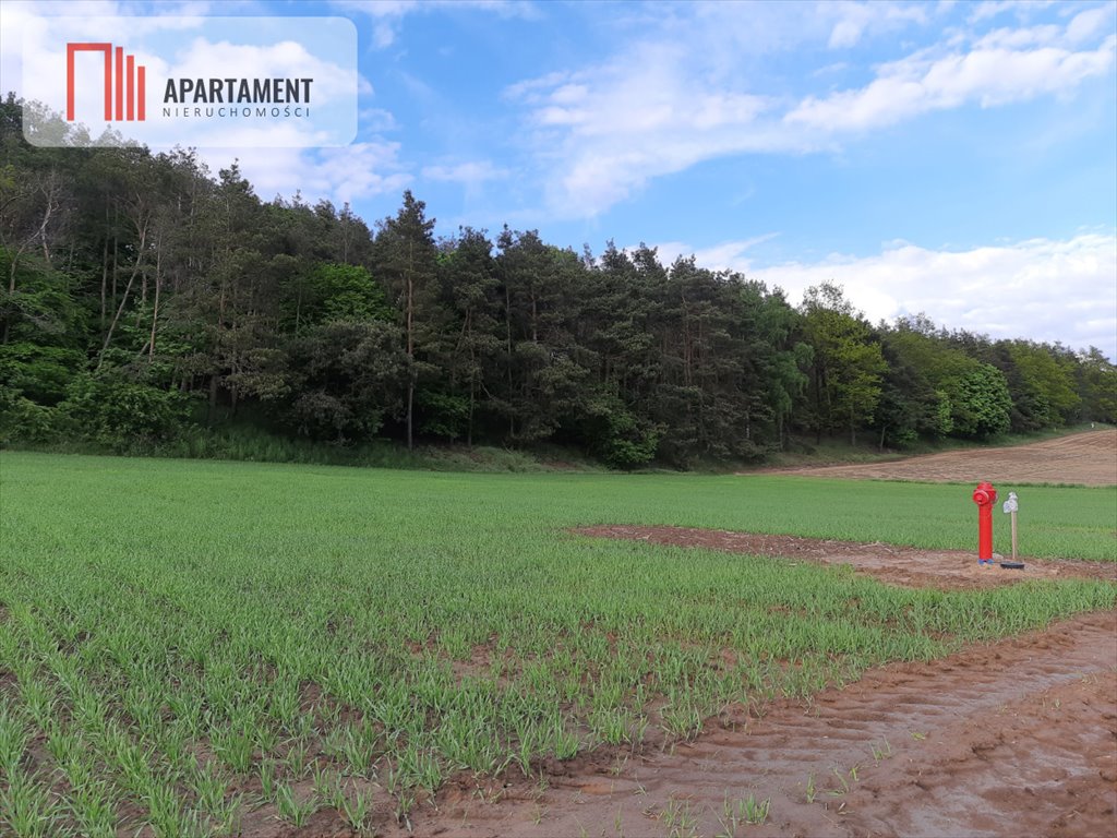 Działka budowlana na sprzedaż Załachowo  1 020m2 Foto 3