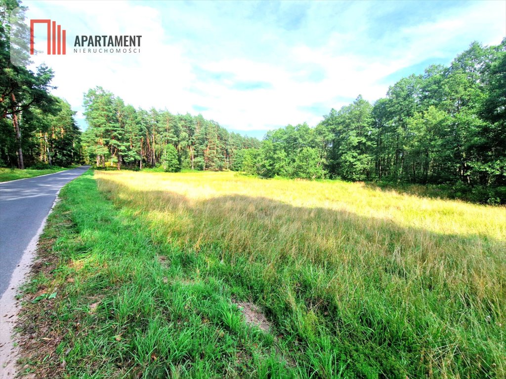 Działka gospodarstwo rolne na sprzedaż Biała  3 100m2 Foto 8