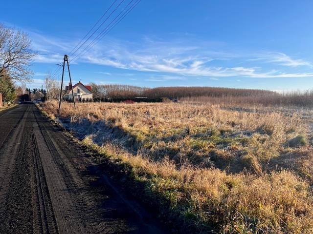 Działka budowlana na sprzedaż Czernin, Czernin  2 692m2 Foto 10