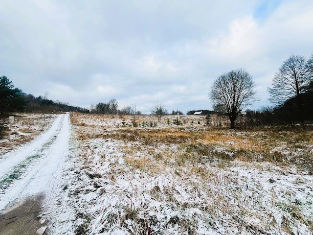 Działka budowlana na sprzedaż Charzykowy, Droga pod Strzechę  1 400m2 Foto 8