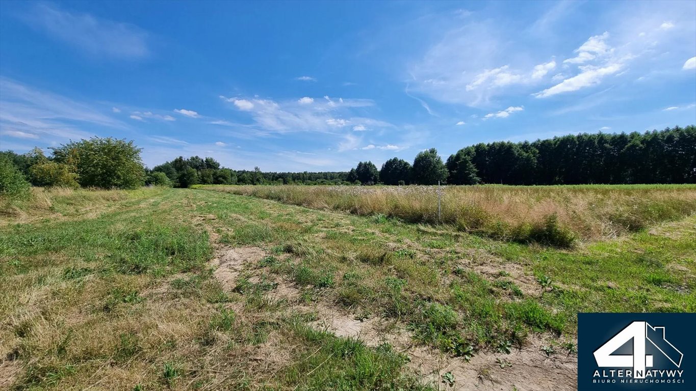 Działka gospodarstwo rolne na sprzedaż Chociszew, 40  8 976m2 Foto 2