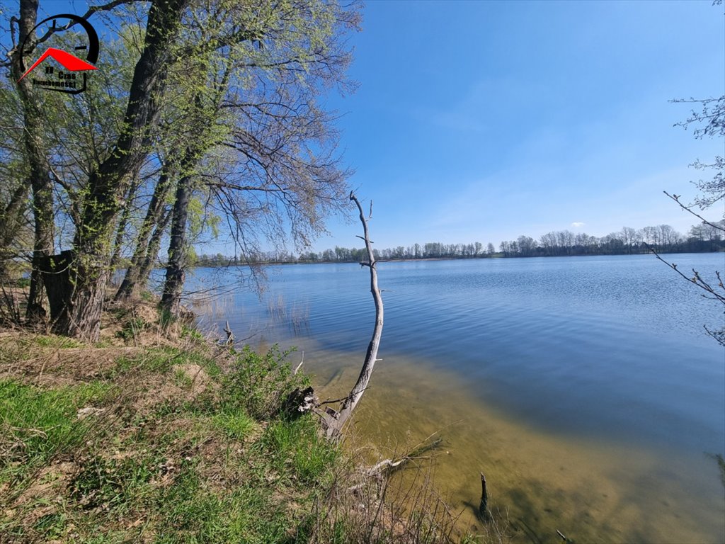 Działka gospodarstwo rolne na sprzedaż Wiewiórczyn, Huby Wiewiórczyńskie  17 000m2 Foto 8