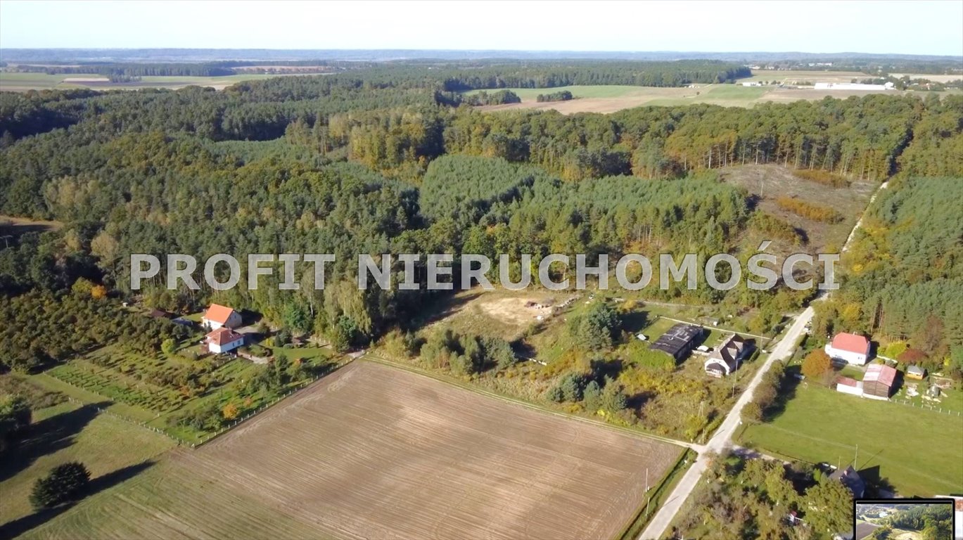 Działka rolna na sprzedaż Nowa Wieś Lęborska  3 974m2 Foto 6