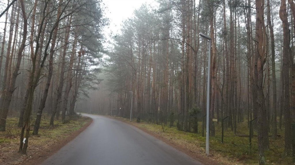 Działka budowlana na sprzedaż Łosie  3 141m2 Foto 2