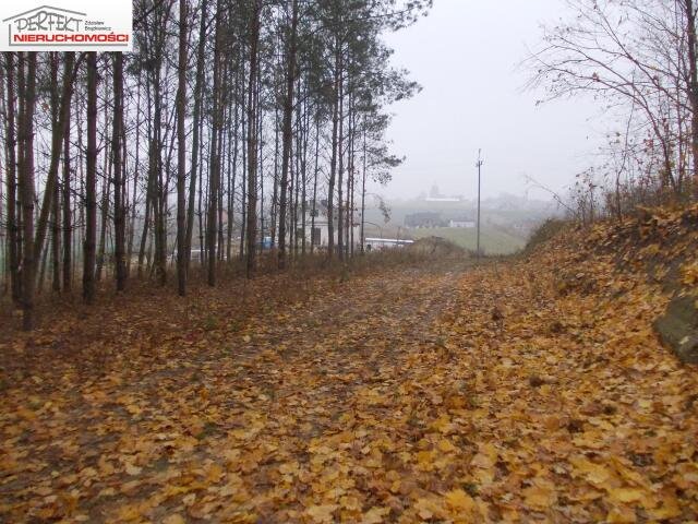 Sprzedam działkę 12 arów z warunkami zabudowy i dostępem do drogi Jabłonowo Pomorskie  1 200m2 Foto 1