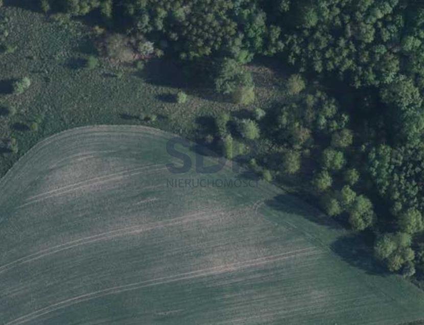 Działka budowlana na sprzedaż Ławica  15 800m2 Foto 1