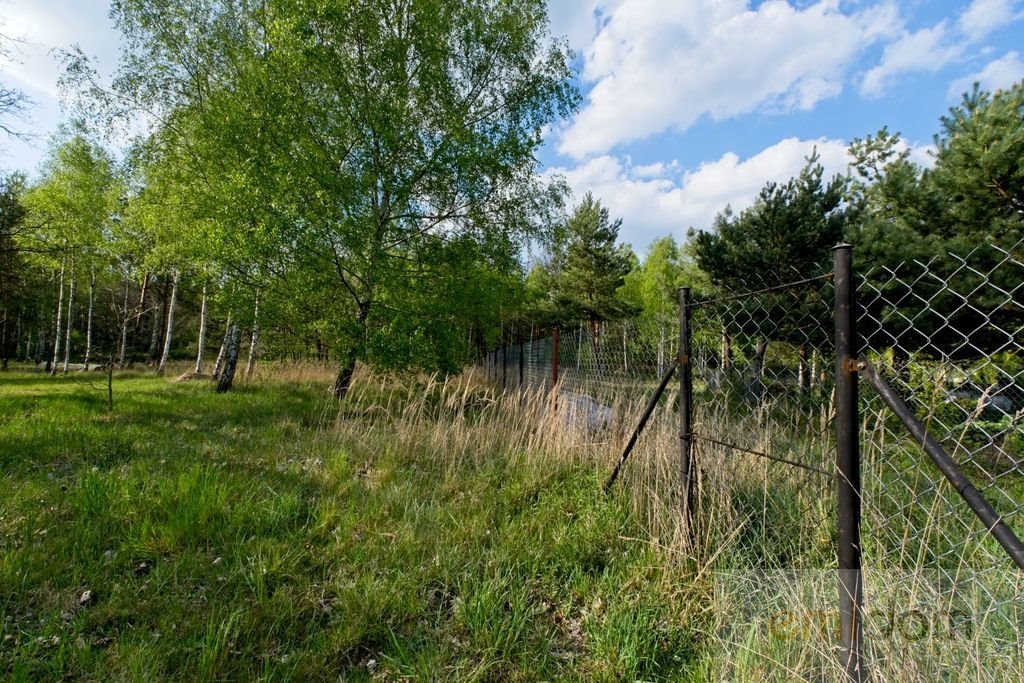 Działka budowlana na sprzedaż Pniewo  9 800m2 Foto 5